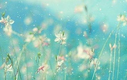 注意力不集中有哪些原因