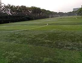 苏州锐狮少儿足球俱乐部