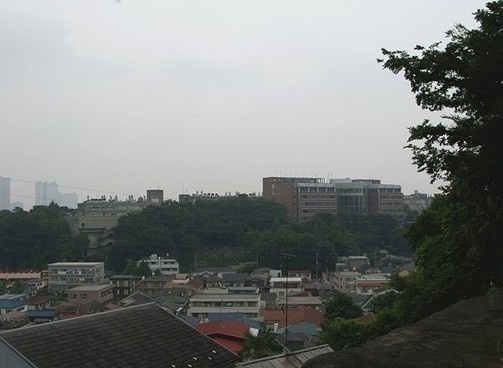 庆应义塾大学
