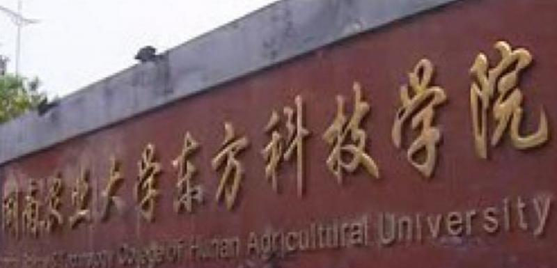 湖南农业大学东方科技学院是不是985大学？