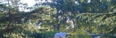 北京铁路电气化学校