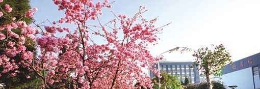 北京外事服务职业高级中学