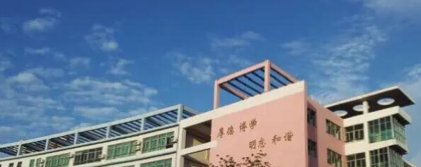 海口实验中学2023年网站
