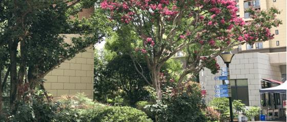 截图_20211118210935