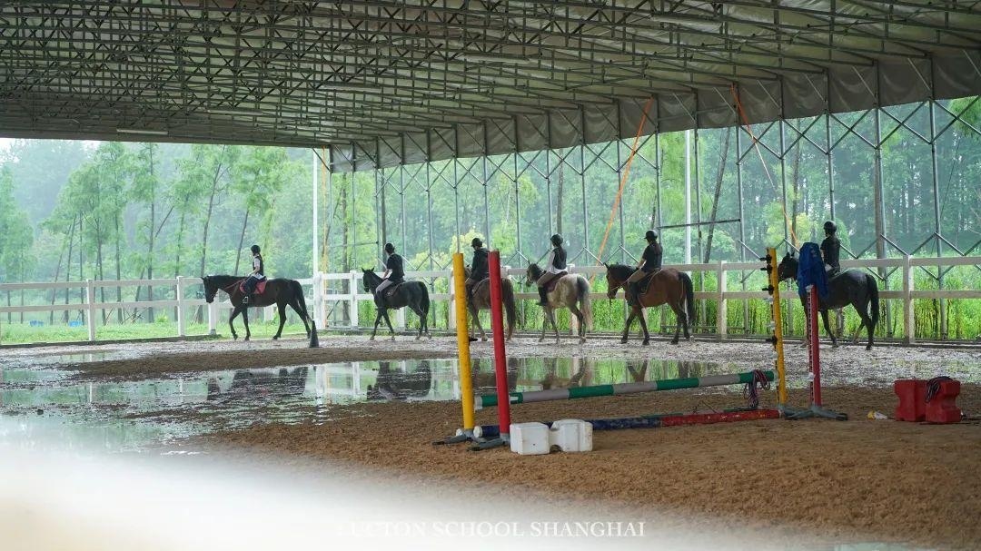 马术.jpg