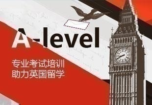 国际课程学习课程