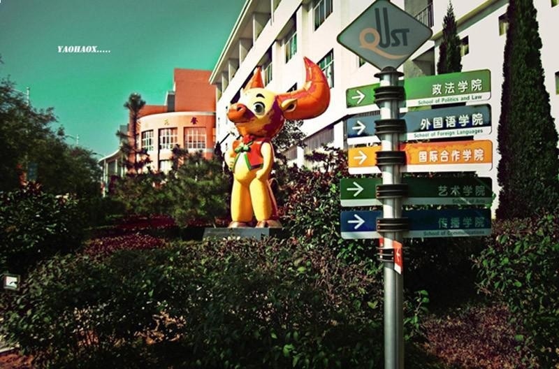 青岛科技大学留学预科