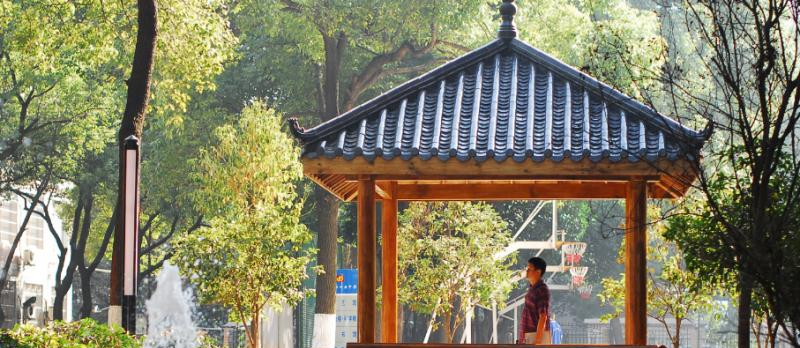 长沙十五中国际部网站