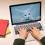 实战教学