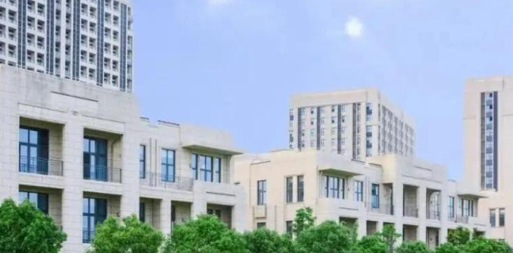 2023年上海美高双语学校小学部课程体系