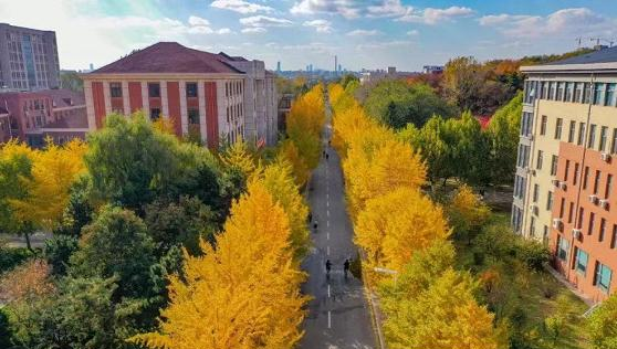沈阳农业大学是211还是985(沈阳农业大学）