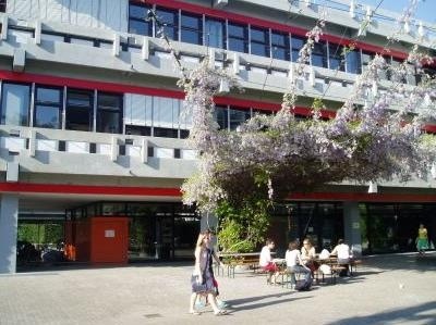 卡尔斯鲁厄师范学院