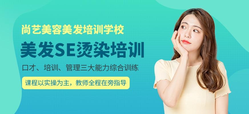 尚艺美容美发培训学校美发SE烫染培训班