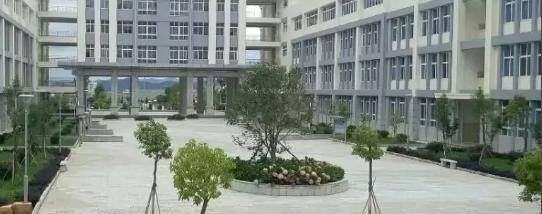 截图_20211116125650