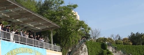 重庆信息技术职业学院2019年单招录取分数线