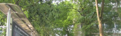 洞口县职业中学