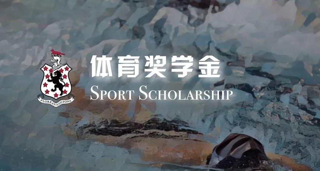 体育奖学金.jpg