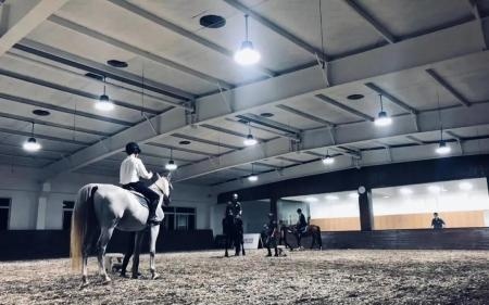 马术课.jpg
