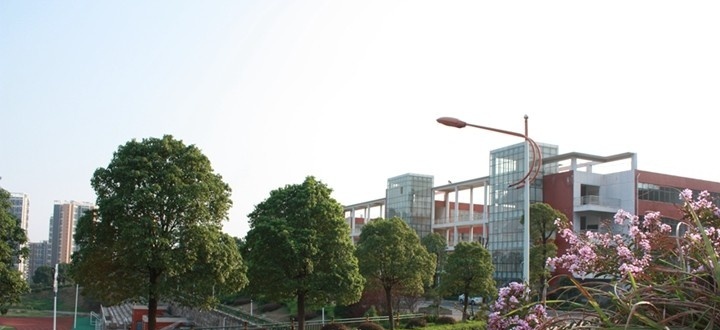 长沙南方职业学院2019年单招录取分数线