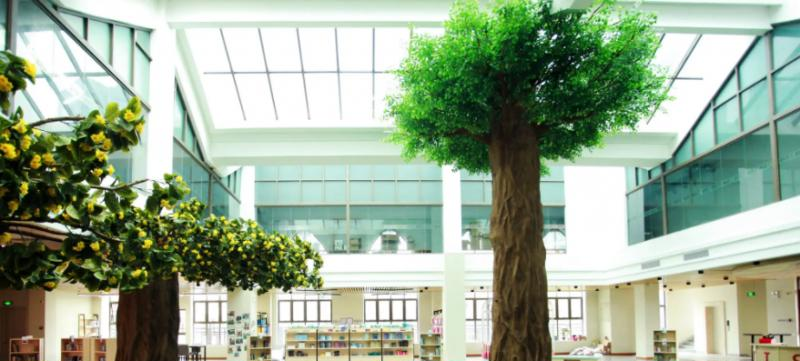 广州加拿大国际学校(CIS)初中部2023年学费标准