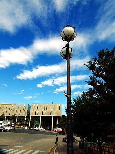 培材大学