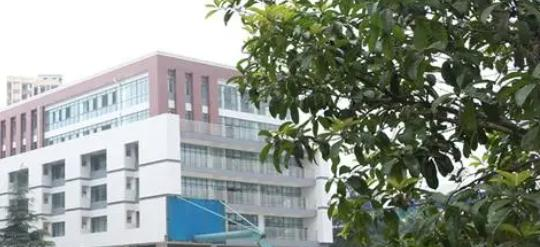 文成县职业中等专业学校地址在哪里，哪个地区，哪个城市?