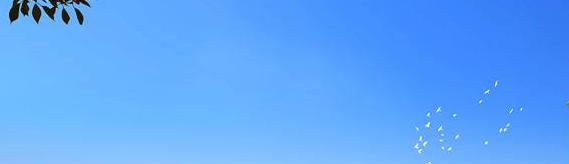 绵阳富乐国际学校初中部2020年招生办