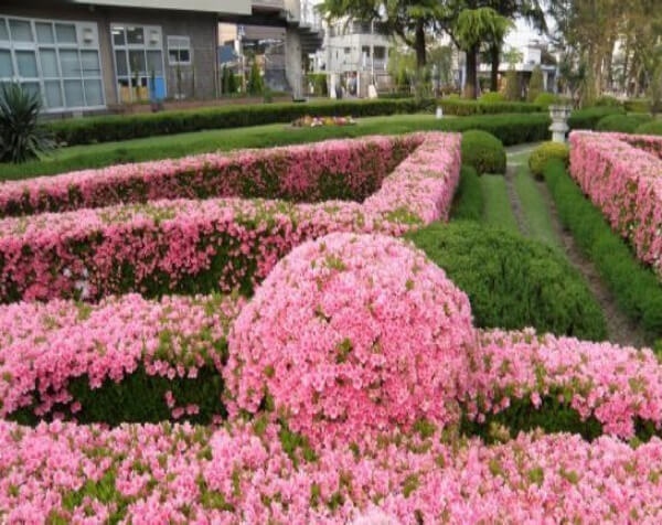 宇都宫大学