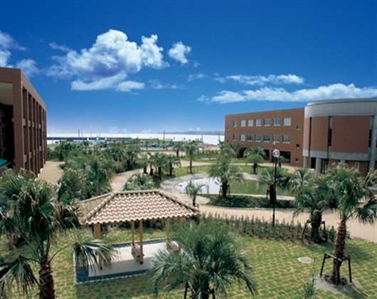 千叶科学大学