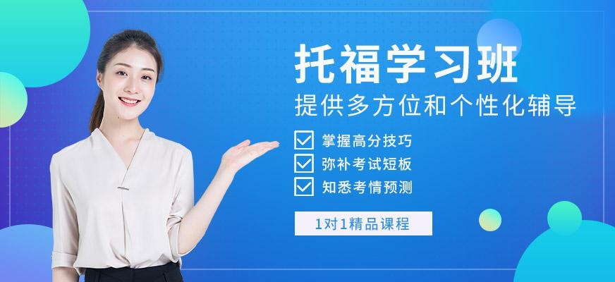 北外托福vip一对一