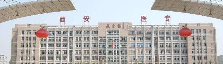 肇庆医学高等专科学校2019年单招录取分数线