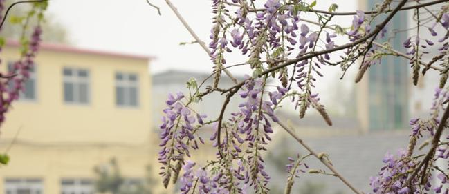南宫中学2021年学费、收费多少