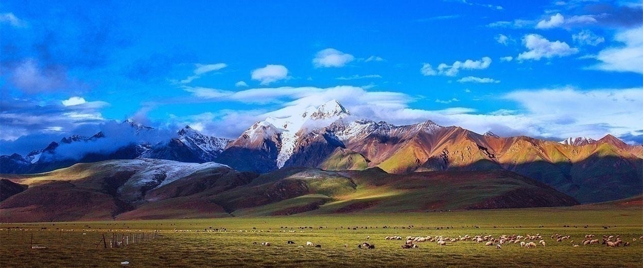 大连二级建造师培训