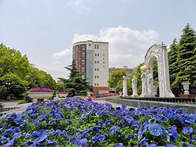 上海金苹果双语学校