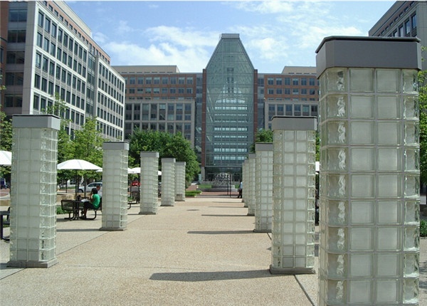 圣路易斯华盛顿大学