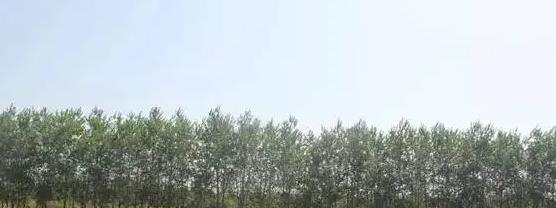 许昌体育运动学校