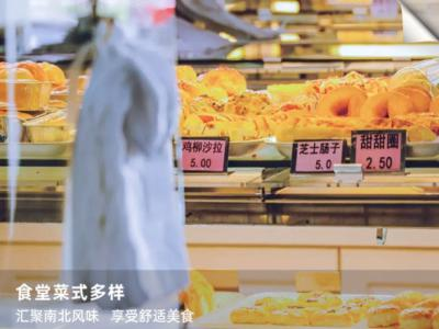 深圳湾国际艺术教育SWAS