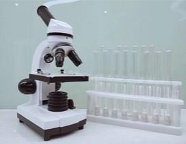 重庆鲸探号少儿科学院 