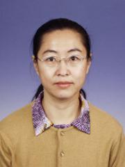 郭丽梅 （天津科技大学教授）