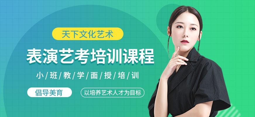 表演艺考培训