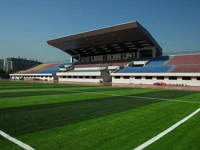 主体育场