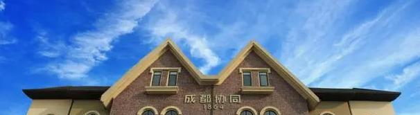 成都协同国际学校初中部2023年招生政策