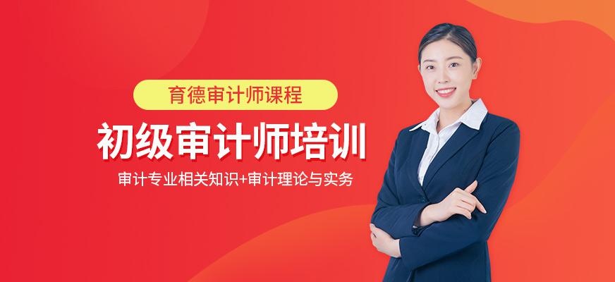 初级审计师考试培训配图