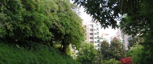 江苏传媒学校