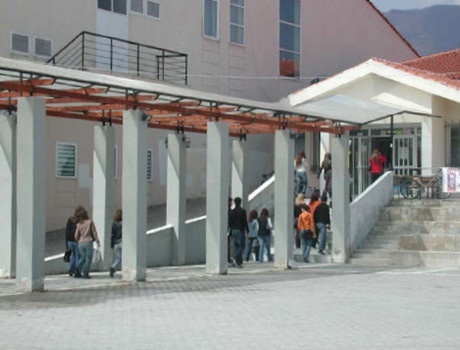 西马其顿大学