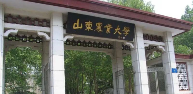 山东农业大学排名全国第几位