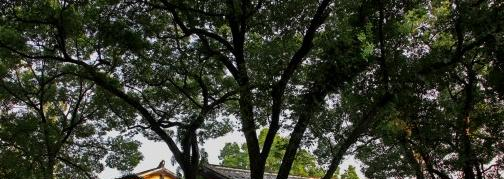 福建幼儿师范高等专科学校