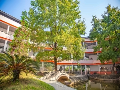 雷纳森英豪国际学院池塘