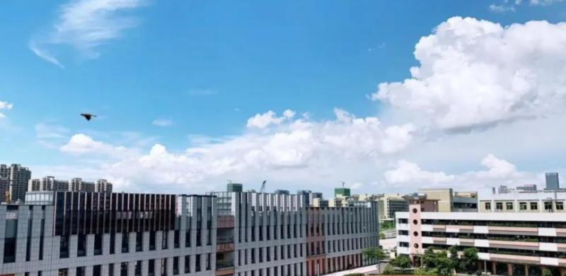 海南枫叶国际学校怎么样、好不好(2023参考)