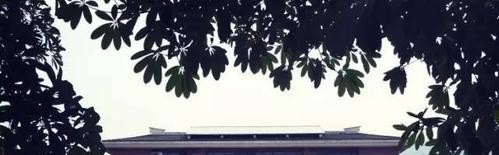 福建华南女子职业学院单招